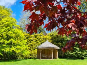 ashridge3 300x225