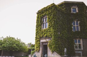 walton4 300x195