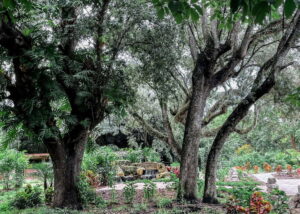 GARDENS 300x214