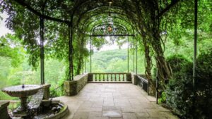 heekwood3 300x169