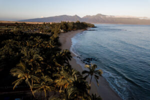 paia5 300x200