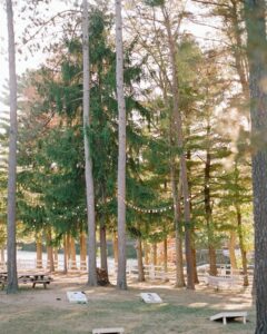 cedar2 240x300
