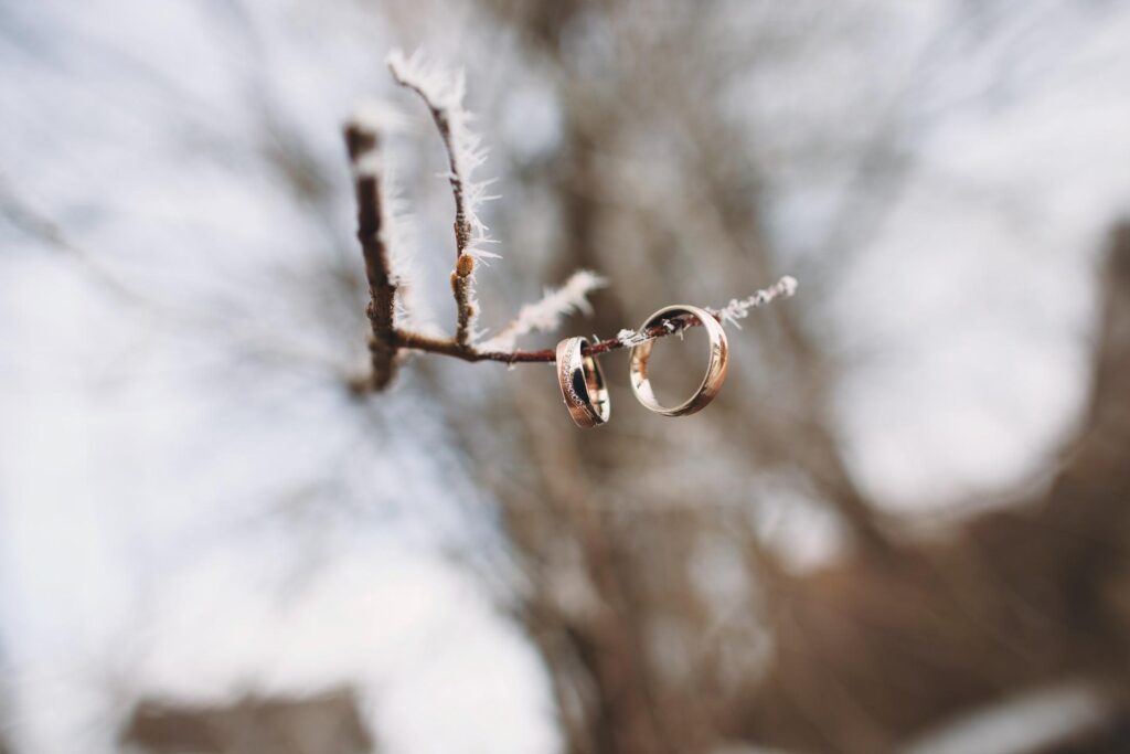 gay winter wedding