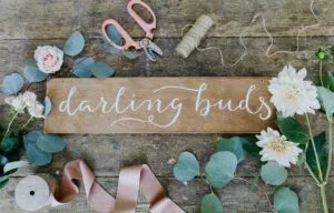 104880539 2605742669525571 8492088574780725989 n 300x192