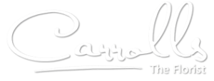 logo1 329w 300x114