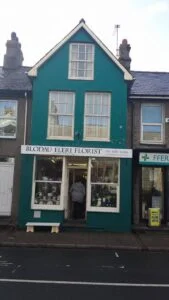 12039353 450726408453112 253774439585387701 n 169x300