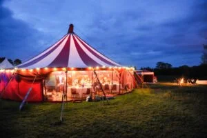 384 D3S 3119 1 300x200