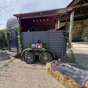 7d9d5fdb 043c 4e31 b713 95a6c4cba8e0 e1638548229471 pgz89cerga7bqea3p3dalr9vjqfxu7cgttcxjodlog 1 300x300