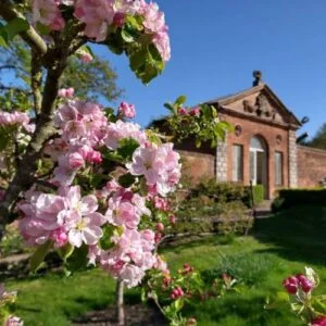 94274964 3140993745922662 7459722125675331584 o 500x500 1 300x300