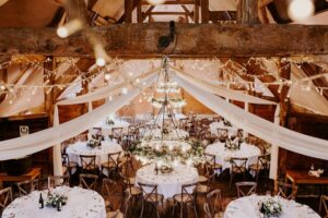 Sophie and Tom 187 websize 1000x667 1 300x200