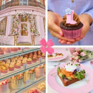 parlours 20232 480x480 300x300