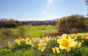 wedding location 03 300x190