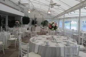 10505581 722001674524184 7831792168111340607 n 300x200