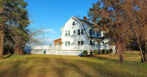 20170303 232245 300x158