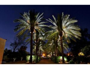 57C3E647 B53A 43BF 9B92 D47B96BFB371 300x226