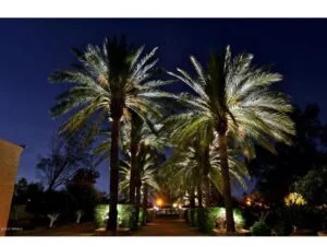 57C3E647 B53A 43BF 9B92 D47B96BFB371 300x226