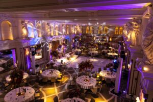 7267 2048x1365 1 300x200