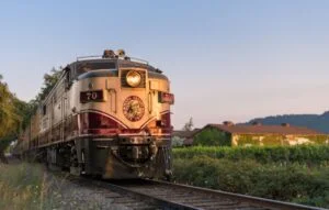 DSC 1300 Edit 910x580 1 300x191