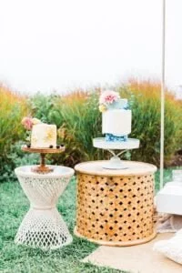 FFD9FDA8 4B3D 47D7 AAF9 F51B31113D8A 200x300