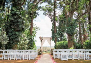 Ferns Garden 300x208