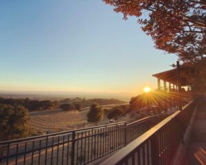 Wines Sunsets August 5th Sold Out 1300x1300 1 768x614 1 300x240