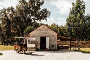 b4ca1b 7e2643614bf14cbda7cf520ef5f9c39emv2 300x200