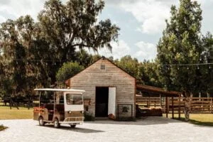 b4ca1b 7e2643614bf14cbda7cf520ef5f9c39emv2 300x200