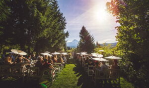 ceremonysite 04 300x178