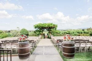 palm pinterest 05 300x200