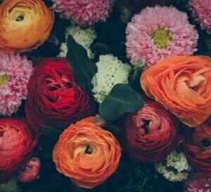 0a2e17eb03fa4662b759578a9a3bd687 300x274