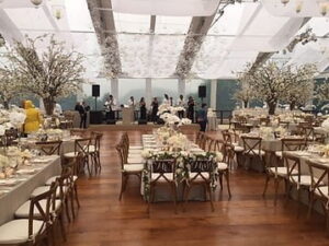 11f2fd 86e9a72164654b848ab328ef34847104mv2 300x225