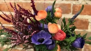 1605025140 file b1f60722a0 300x170