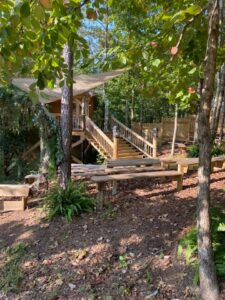 226069026 4406730099391513 8816363646567405523 n 225x300