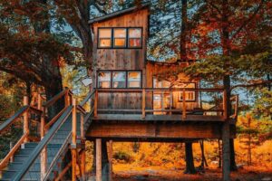 243278067 2141991615948594 5992898582397361652 n 300x200