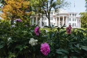 350126750 179660094751690 7284916803286837112 n 300x200