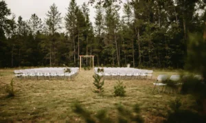 8337cc 3ce331d3a5b54bc1b93fa7fc4040c77emv2 300x179