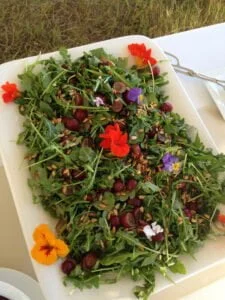 Arugula Grape Sunflower Seed Salad2 225x300