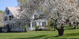 DSC 4381 1800x900 1 300x150