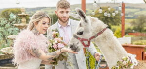 IMG 20201006 WA0023 300x142