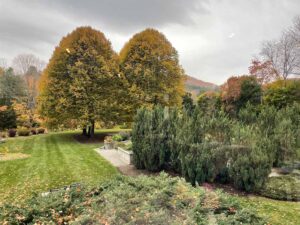 Photo Gallery 64 300x225