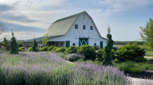 Screen Shot 2022 09 18 at 2.53.44 PM 300x168