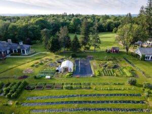 a683c5a9 c593 47e5 a2e4 6dedf773d752 300x225