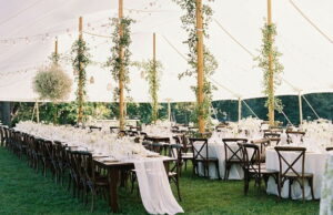 c86268 a25f8ede1161477380a8886ba766b6abmv2 300x194