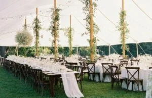 c86268 a25f8ede1161477380a8886ba766b6abmv2 300x194