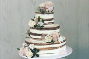 img 6408 51 2086807 164981027277086 300x200