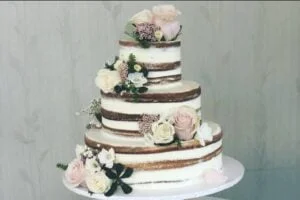 img 6408 51 2086807 164981027277086 300x200