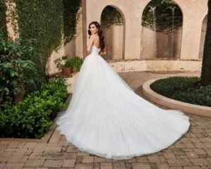 309618068 481269614014971 3184170776467167058 n 300x240