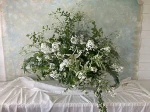 783318C9 C29D 48CB 88E1 D43ED80D2F71 1024x768 1 300x225