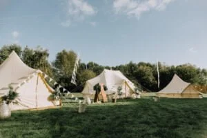 The Hidden Hive 1 1024x683 1 300x200