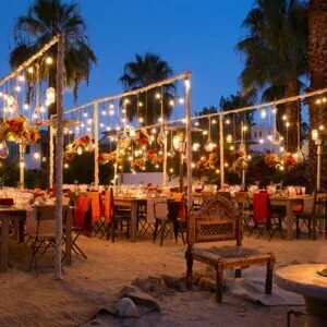 asset engagements 14@2x 300x300